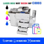 mẫu C8003