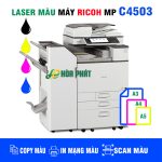 mẫu C4503 new